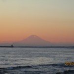 IMG_8509
