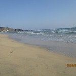 IMG_8577