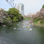 IMG_0422
