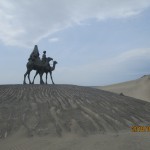 IMG_8863