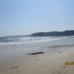 IMG_8900