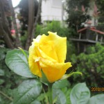 IMG_8930