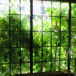 IMG_0570