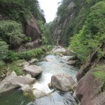 IMG_0917