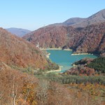 IMG_1311