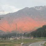 IMG_1367