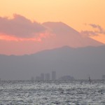 IMG_1638